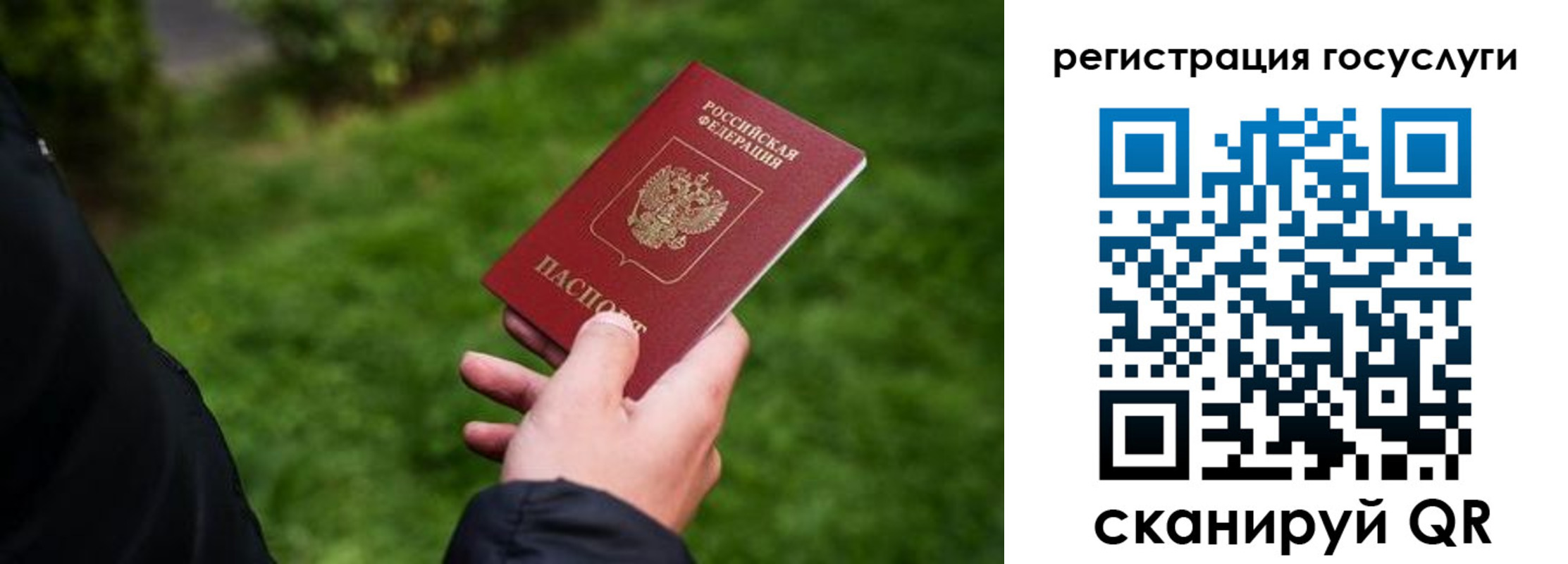 прописка в Миллерово